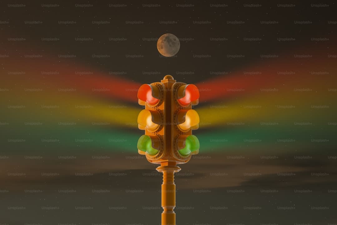 消暑博物馆：荷风莲韵，清凉“一夏”